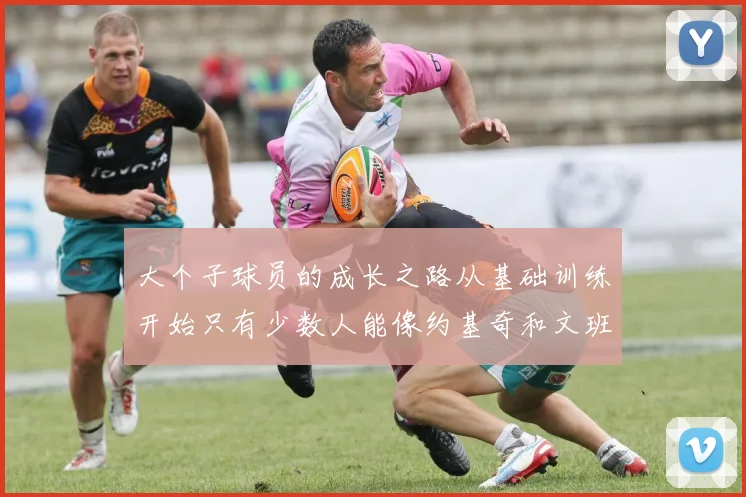 大个子球员的成长之路从基础训练开始只有少数人能像约基奇和文班那样成功
