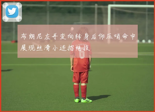布朗尼左手变向转身后仰压哨命中展现丝滑小连招绝技